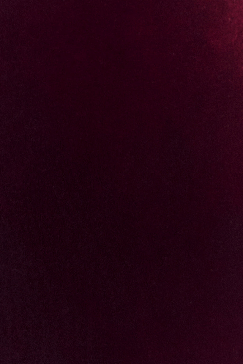 Paulina Velvet Strapless Mini Dress - Wine